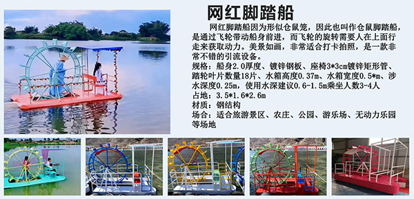 网红脚踏船游乐项目